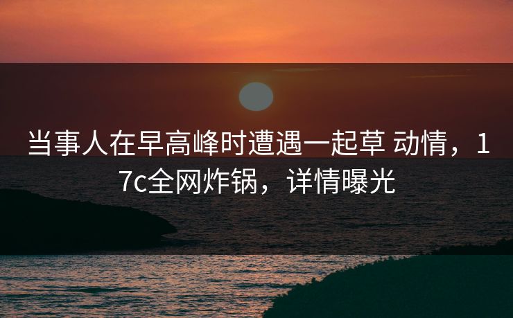 当事人在早高峰时遭遇一起草 动情，17c全网炸锅，详情曝光