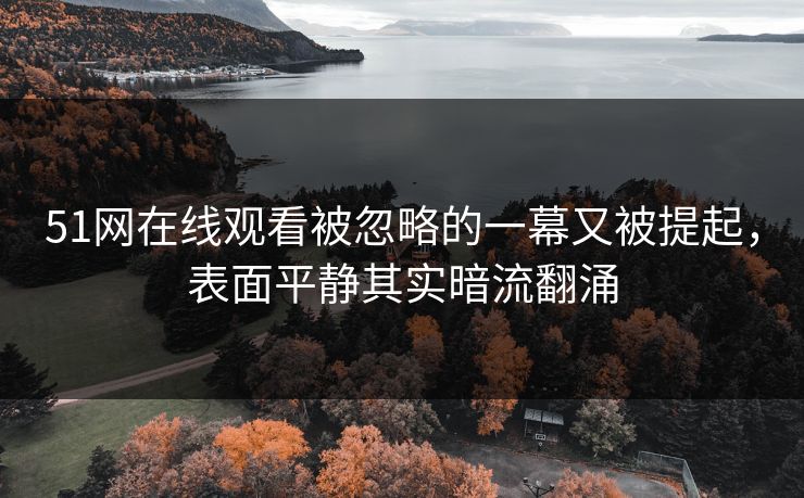 51网在线观看被忽略的一幕又被提起，表面平静其实暗流翻涌